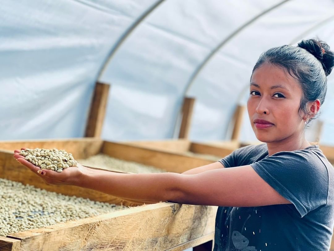 Mini sampler - Specialty coffee sample pack (3 x 100g)