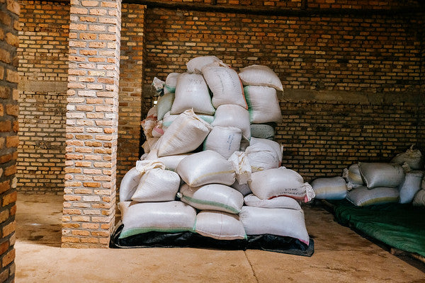 Rwanda Horizon Coffee – Rwandan Specialty Coffee