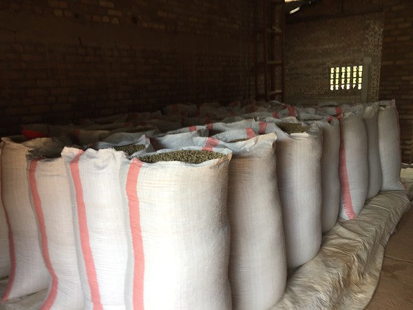 Rwanda Horizon Coffee – Rwandan Specialty Coffee