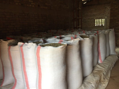 Rwanda Horizon Coffee – Rwandan Specialty Coffee