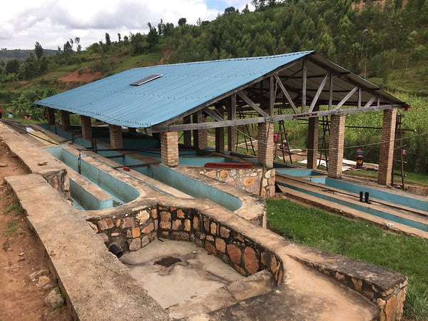 Rwanda Horizon Coffee – Rwandan Specialty Coffee
