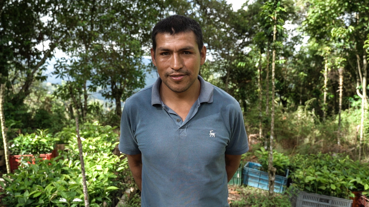 Specialty coffee farmer in Colombia