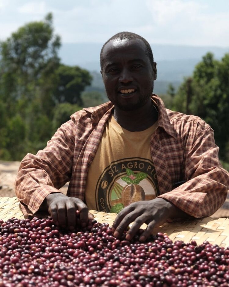 Tariku Mengesha Rocko Mountain - Ethiopian Specialty Coffee