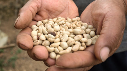 Colombian Specialty Coffee beans