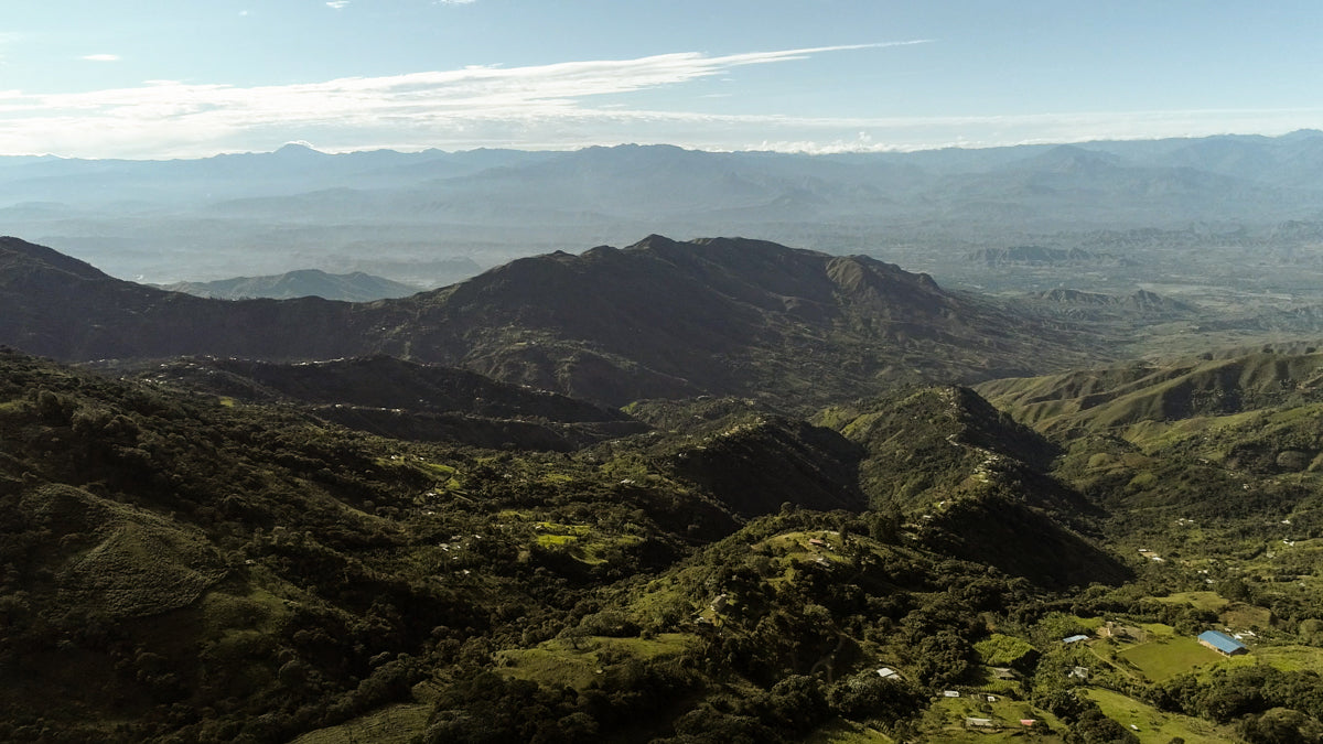 Coffee growing region Cauca Colombia