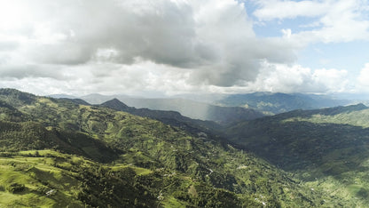 Specialty coffee growing farms in Colombia